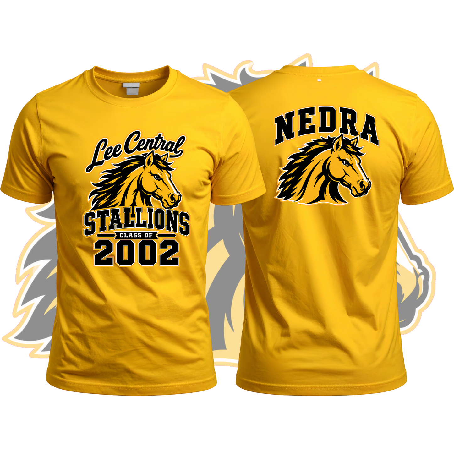 Lee Central Stallions