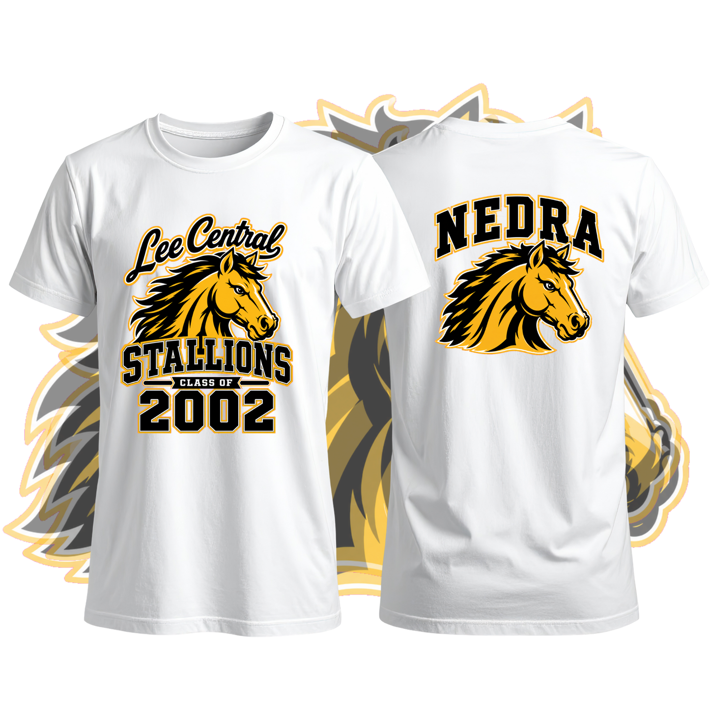 Lee Central Stallions